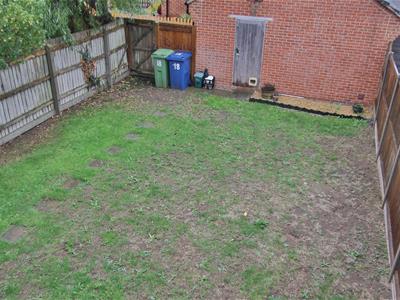 Picture 10